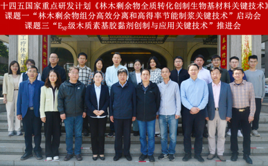 林木剩余物全質(zhì)轉(zhuǎn)化創(chuàng)制生物基材料關(guān)鍵技術(shù)研發(fā)項(xiàng)目啟動(dòng)，助力綠色低碳產(chǎn)業(yè)鏈升級(jí)